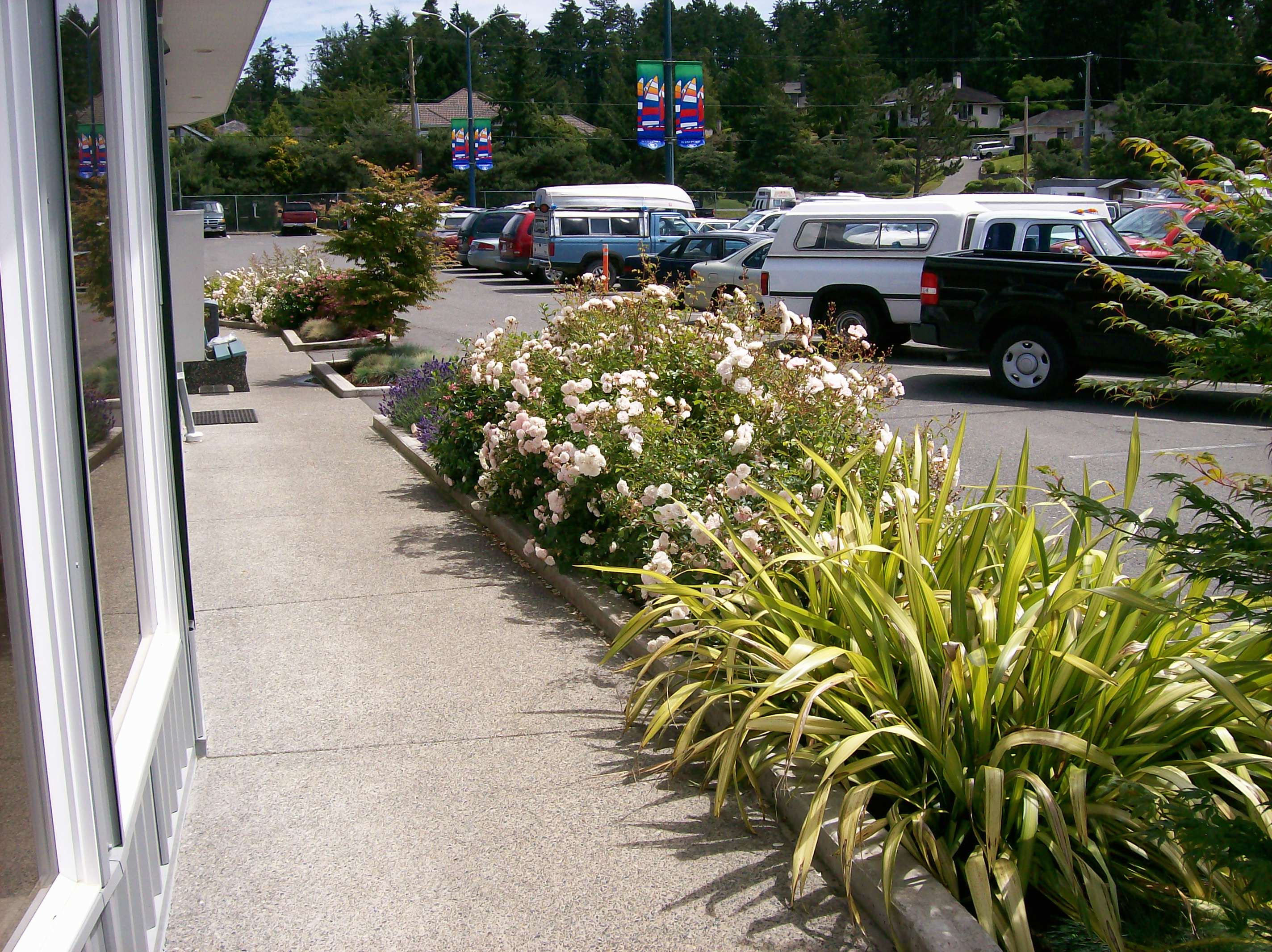 Westport marina100 0054 westport marina